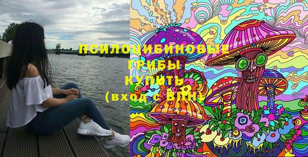 дурь Верхний Тагил