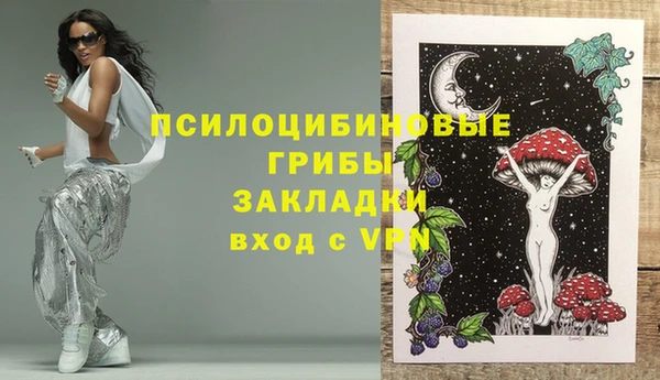 дурь Верхний Тагил