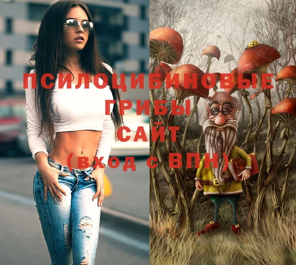 прущий лед Верея