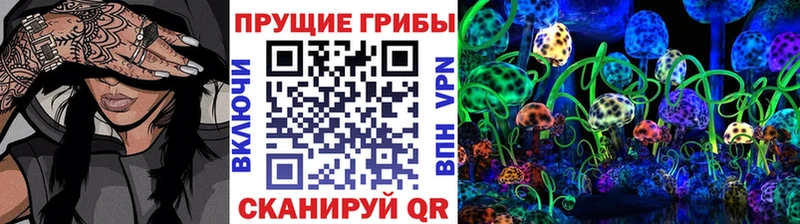 Псилоцибиновые грибы Psilocybe  Ахтырский 